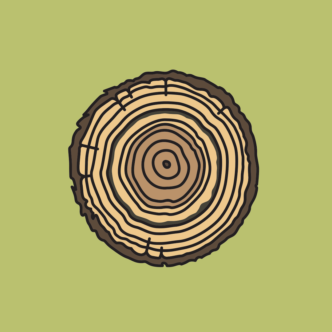 Tree Rings — Ellii (formerly ESL Library)